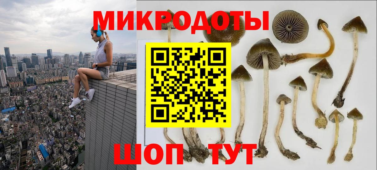Галлюциногенные грибы MAGIC MUSHROOMS  Галлюциногенные грибы мицелий  Ишим  Вход с VPN 